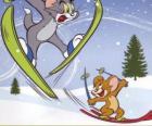 Tom e Jerry na neve com esquis