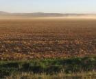 Paisagem rural com um campo arado em primeiro plano