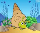 Caracol do mar