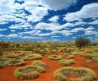 Outback australiano