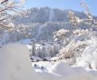 Bela paisagem completamente nevada