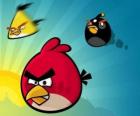 Três dos pássaros de Angry Birds