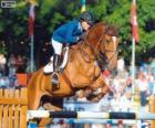 Saltos de obstáculos. O cavaleiro e o cavalo em um salto