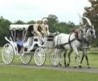 Branca carruagem puxada por dois cavalos branco