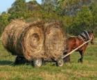 Fazendeiro com uma carruagem ou carroça com cavalo