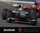 Esteban Gutierrez - Sauber - Circuito internacional do Bahrain 2013