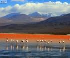 A Laguna Colorada, Bolívia