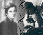 Rosalind Franklin (1920-1958), pioneira na pesquisa de DNA