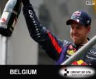 Sebastian Vettel comemora sua vitória no Grande Prémio do Bélgica 2013