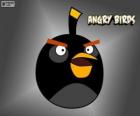 Pássaro preto vídeo game Angry Birds