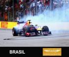 Sebastian Vettel comemora sua vitória no Grande Prémio do Brasil 2013