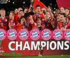 Bayern de Munique, Campeão da Copa do Mundo de Clubes 2013