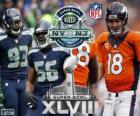 Super Bowl 2014. Seattle Seahawks vs Denver Broncos. MetLife Stadium, New Jersey, 2 de fevereiro de 2014