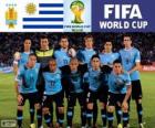 Seleção do Uruguai, Grupo D, Brasil 2014