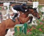 Cavalo e cavaleiro passando um obstáculo em um concurso de saltos