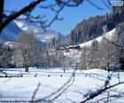 Uma paisagem de inverno bonito com casas ao fundo