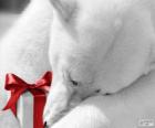Urso polar com um presente