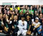 Lewis Hamilton, campeão do mundo de F1 2014 com Mercedes