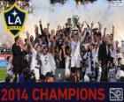 Los Angeles Galaxy, campeão MLS 2014