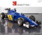 Sauber F1 Team 2015