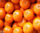 Tangerinas para venda. Tangerina é um citrino e contém muita vitamina C