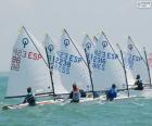 Vários marinheiros durante uma corrida de barcos de classe Optimist