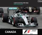 Nico Rosberg, Mercedes, Grande Prêmio do Canadá 2015, segundo lugar.