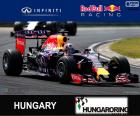 Daniel Ricciardo G.P da Hungria 15