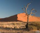 Deserto do Namibe, Namíbia