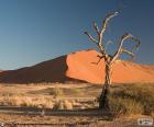 O Deserto do Namibe é considerado o deserto mais antigo do mundo, se estende ao longo da costa da Namíbia, na África. Património Mundial da UNESCO de 2013