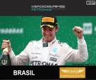 Rosberg G. P do Brasil 2015