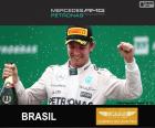 Nico Rosberg comemora sua vitória no Grande Prêmio do Brasil 2015