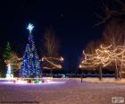 Vários árvores iluminado para as de Natal