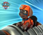 Zuma adora água e mergulha em ação em seu hovercraft. PAW Patrol