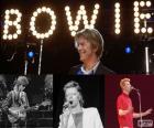 David Bowie (1947 - 2016)