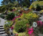 No jardim botânico podemos encontrar grande variedade de plantas e flores