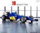 Sauber F1 Team 2016 formado por Marcus Ericsson, Felipe Nasr e o novo C35