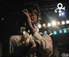 Prince Rogers Nelson (1958-2016) foi uma cantora de rock, soul, funk e new wave  norte-americano