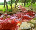 Paisagem com um rio vermelho