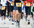 Vários atletas correndo uma maratona, corrida de longa distância cerca de 42 km