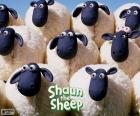 Ovelha do rebanho de Shaun