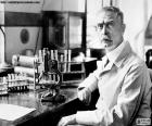 Karl Landsteiner (1868-1943), foi um médico e biólogo austríaco. Ele descobriu que grupos de sangue. Ele foi premiado com o Nobel de Fisiologia ou medicina em 1930
