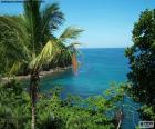 Vista do mar de uma ilha tropical com vegetação em primeiro plano