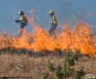 Dois bombeiros trabalhando em um incêndio