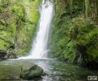 Cachoeira e musgo