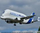 O Airbus A300-600ST Beluga é um avião cargueiro, especializada em cargas Superdimensionadas