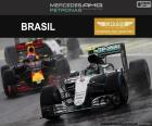 Nico Rosberg, segundo no Grande Prêmio do Brasil 2016 com sua Red Bull. A penúltima corrida do ano