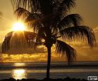 Pôr do sol, Palm