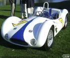 Maserati Tipo 61 ou Maserati Birdcage, um carro de corrida, fabricado em 1960