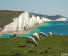 Os penhascos de Seven Sisters, situados no canal da Mancha, em East Sussex, Inglaterra